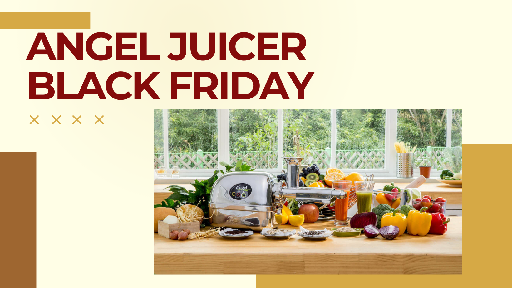 Angel Juicer Black Friday