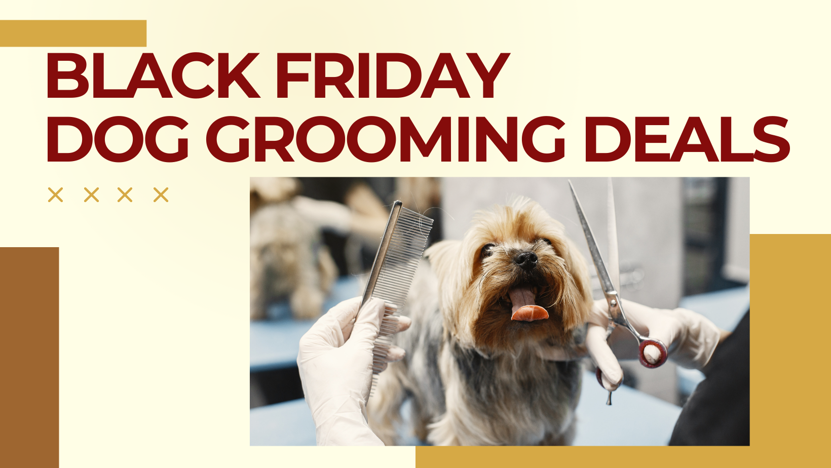 Black Friday Dog Grooming Deals