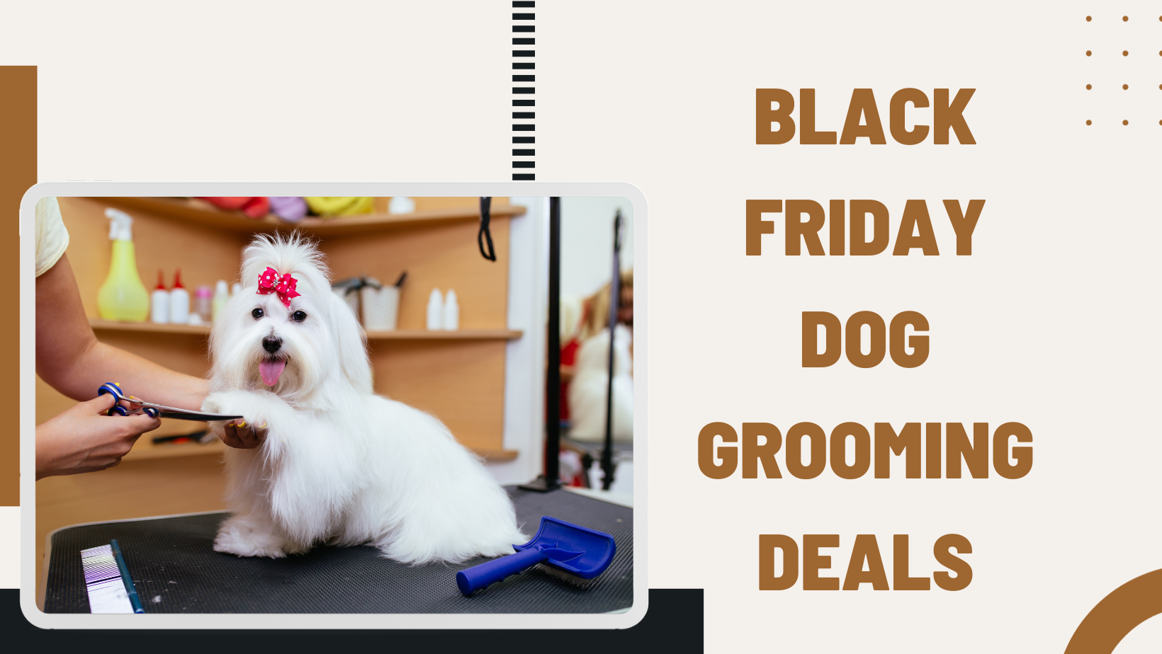 Black Friday Dog Grooming Deals